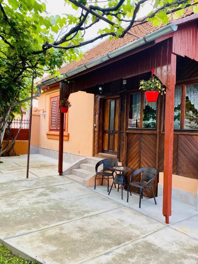 Hotel Casa Victoria Cîrţişoara Exterior foto