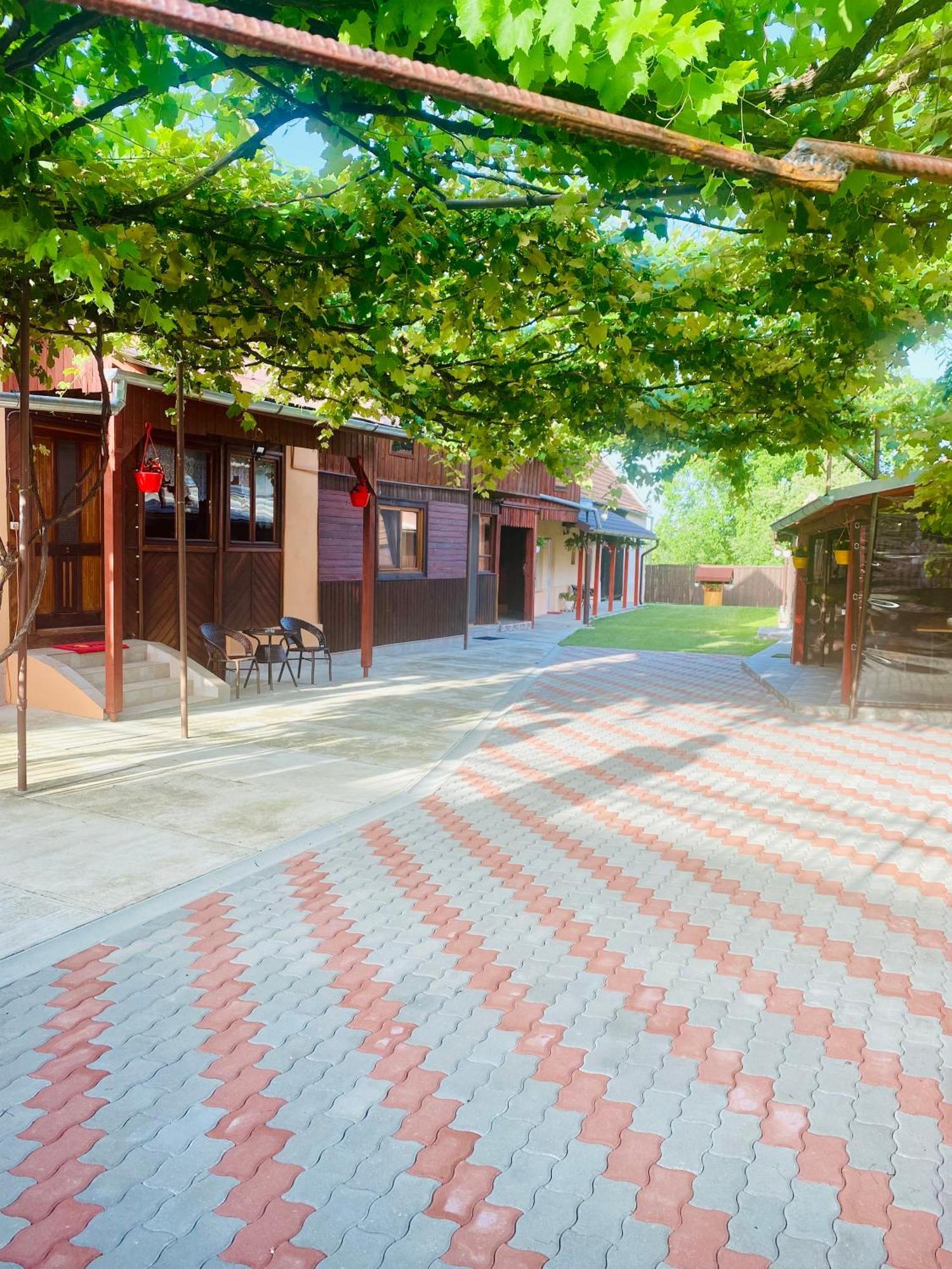Hotel Casa Victoria Cîrţişoara Exterior foto